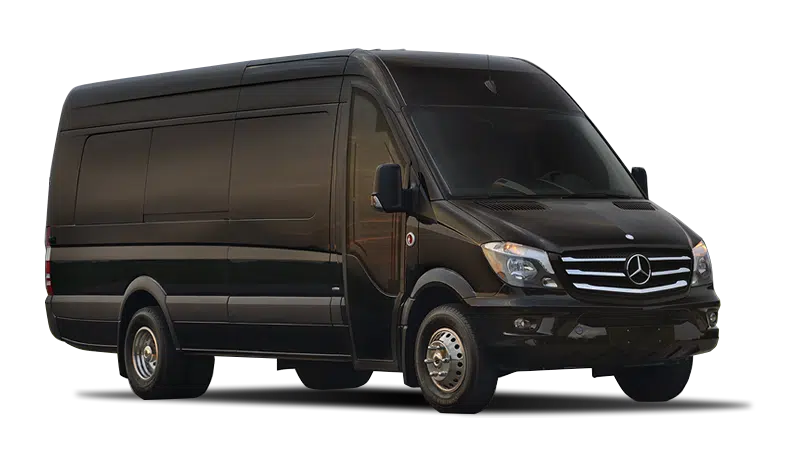 Executive-Sprinter-14 Pax-interioro